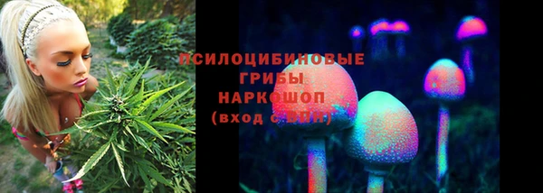 прущие крисы Алексин
