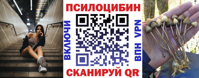 даркнет сайт  Красавино  darknet какой сайт  Псилоцибиновые грибы ЛСД 